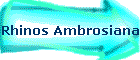 Rhinos Ambrosiana