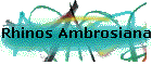 Rhinos Ambrosiana